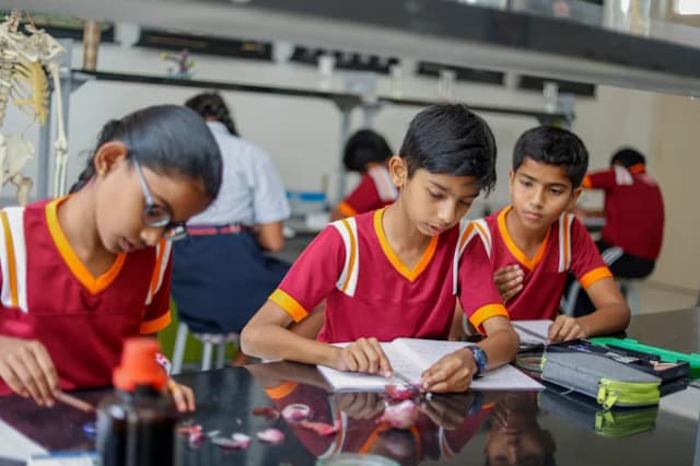 Redbridge International Academy Gallery