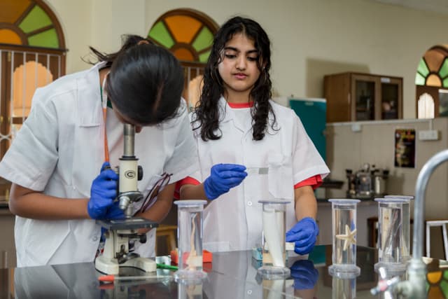 Vishwashanti Gurukul  World School Gallery