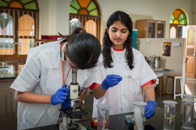 Vishwashanti Gurukul  World School Gallery