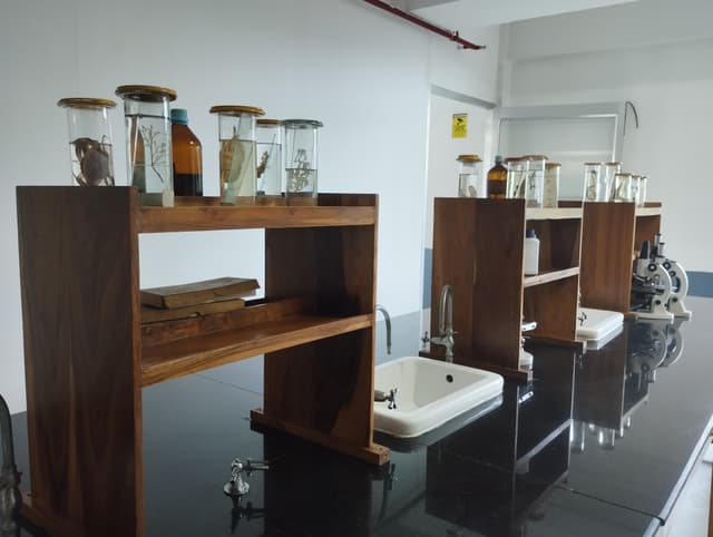 St. Augustine's Day School Gallery