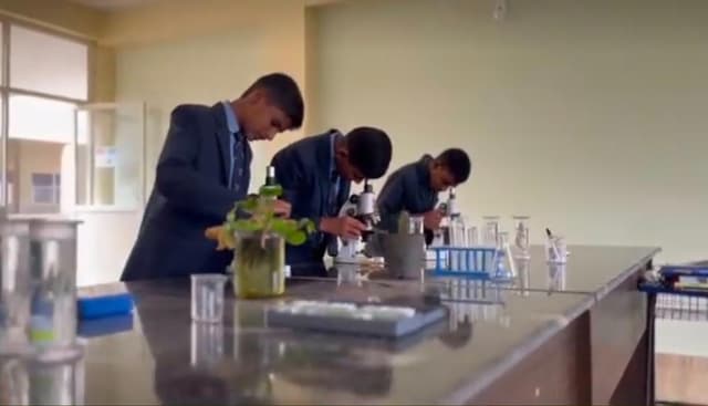 Edu ASIA International School Gallery