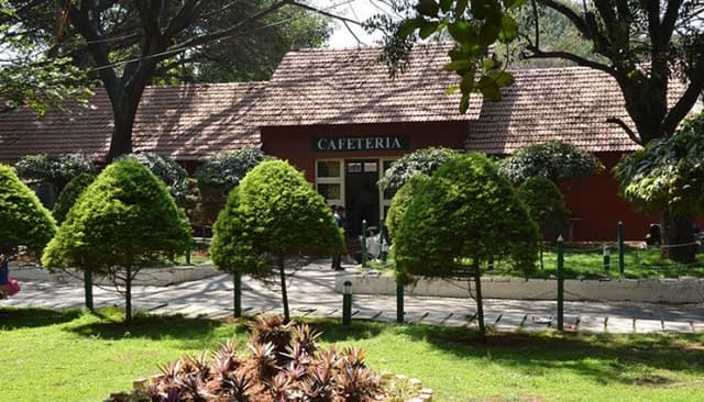 Cathedral High School Gallery