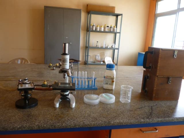 Sri Chaitanya School Gallery