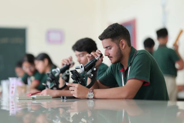 Mount Index International School Gallery