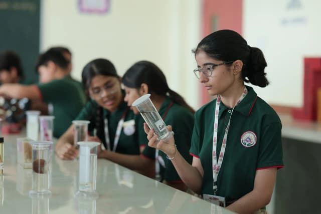 Mount Index International School Gallery