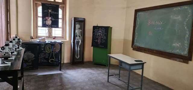 St. Helena's School Gallery