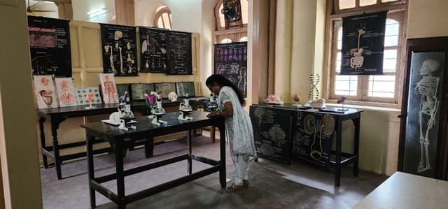 St. Helena's School Gallery