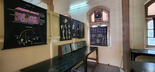 St. Helena's School Gallery