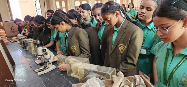 St. Helena's School Gallery