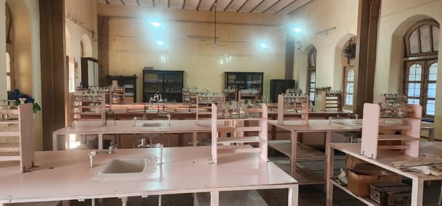 St. Helena's School Gallery