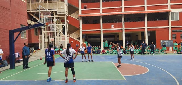 St. Helena's School Gallery