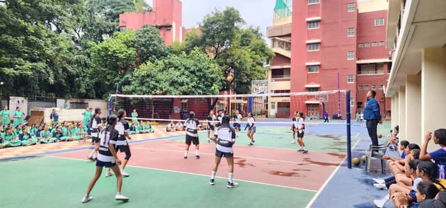 St. Helena's School Gallery