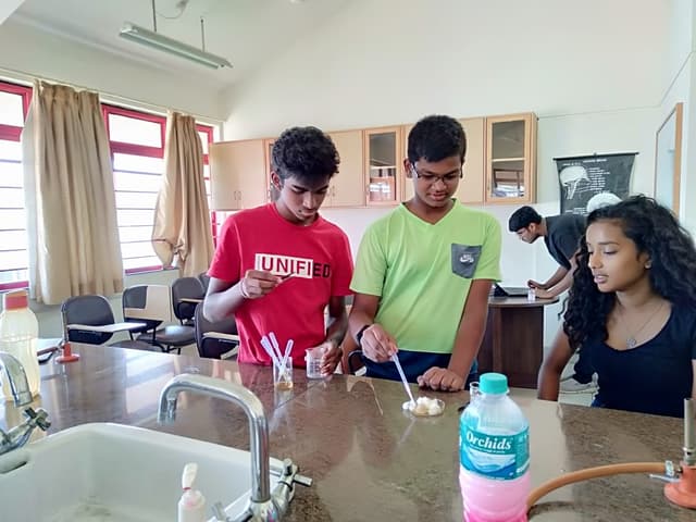 The Cathedral Vidya School Gallery