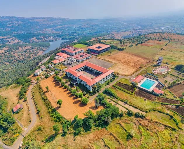 View All