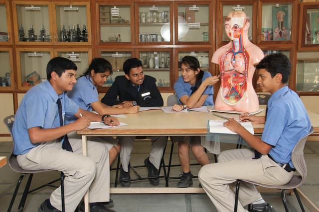 Fort International Academy Gallery