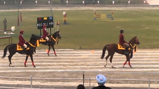 Yadavindra Public School Gallery