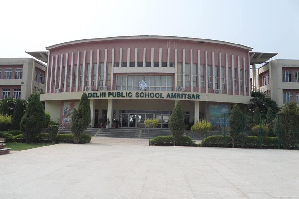 View All
