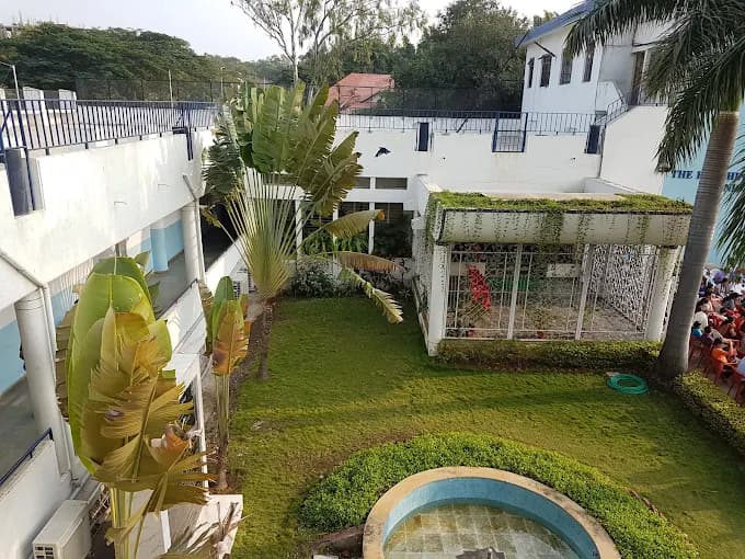 View All