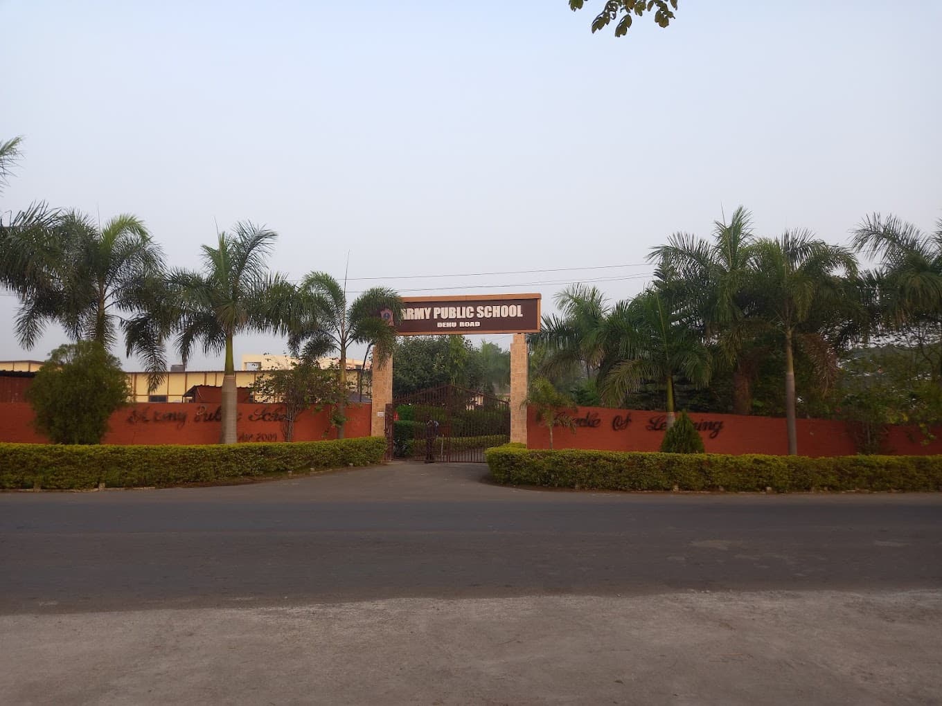 View All