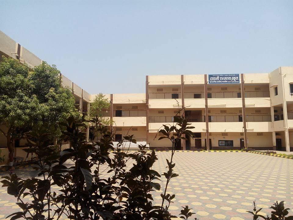 View All