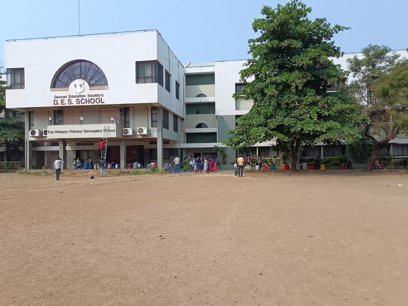 View All