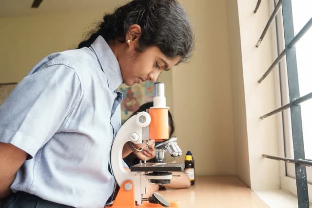 Smrti Academy Gallery