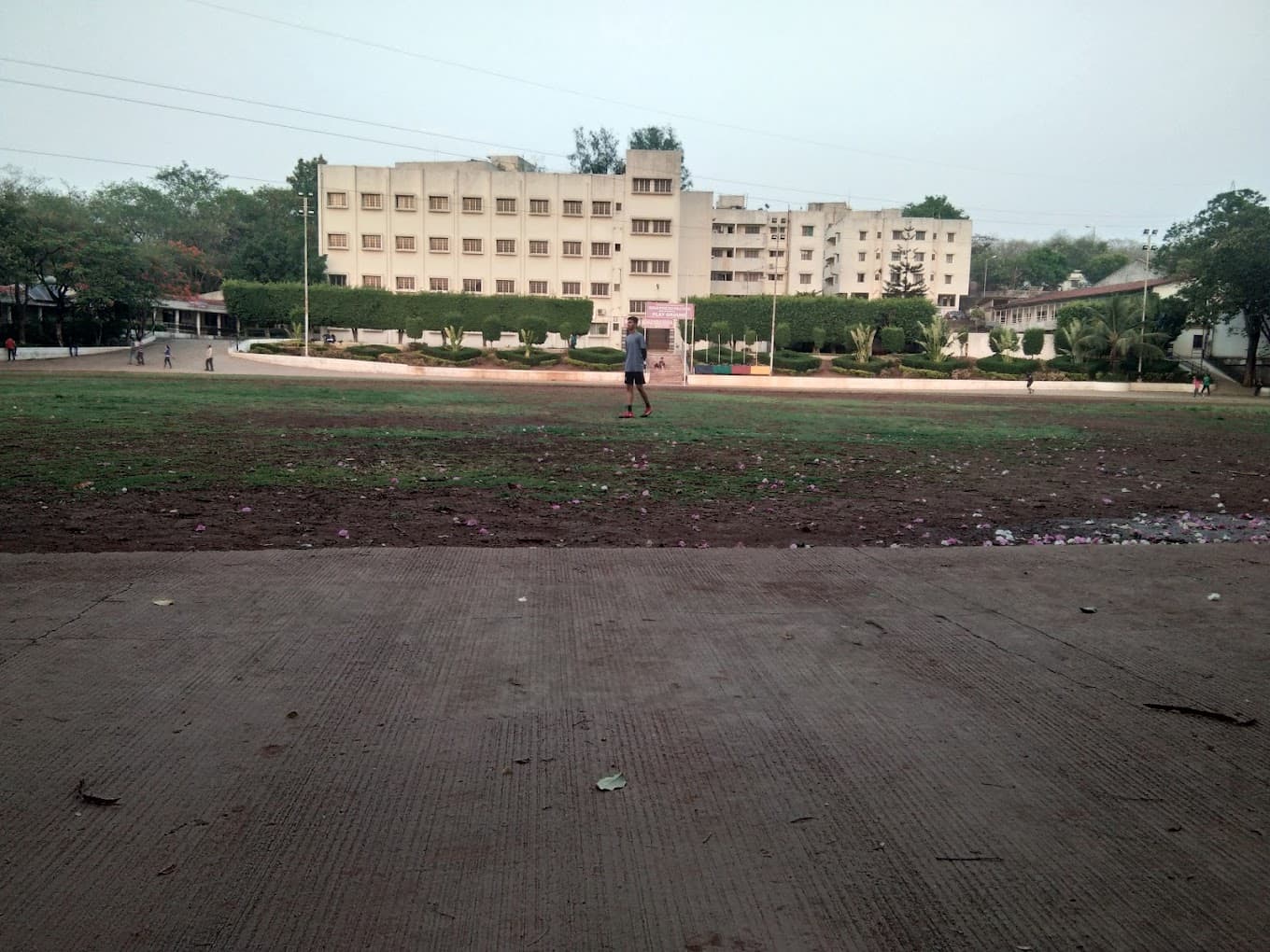 View All