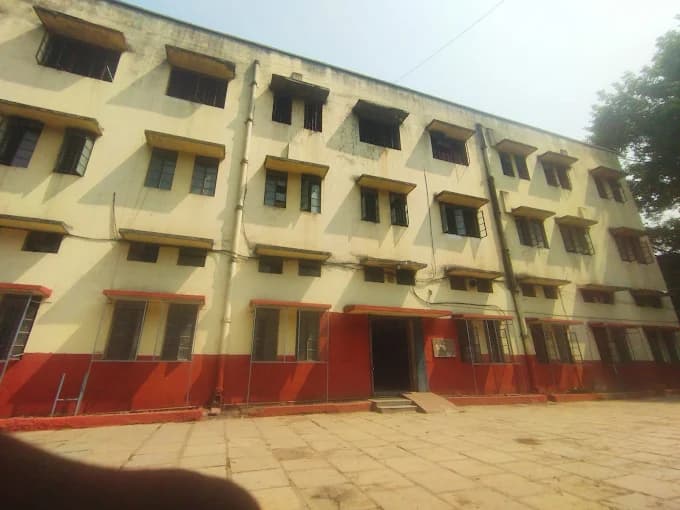View All