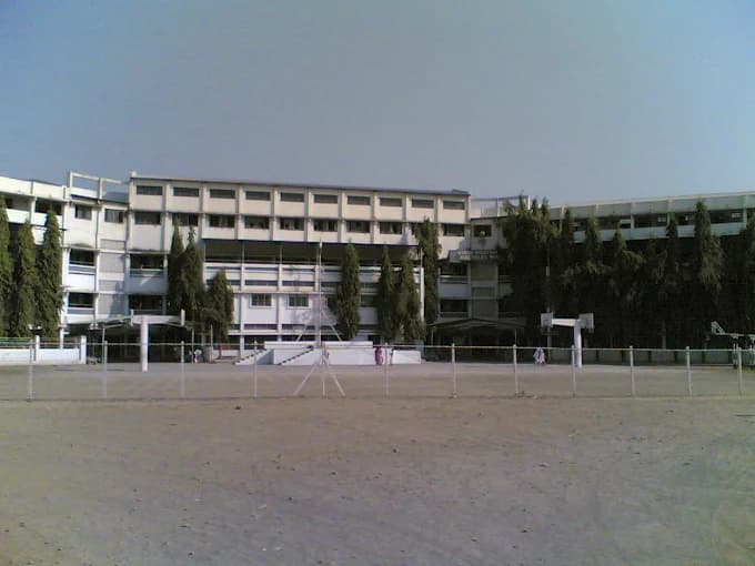 View All