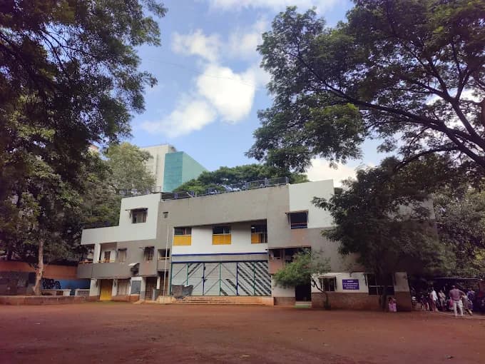 View All