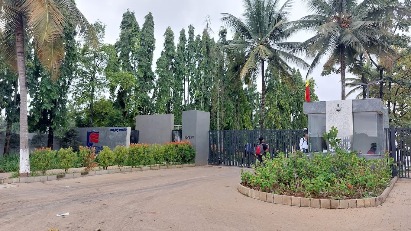 View All