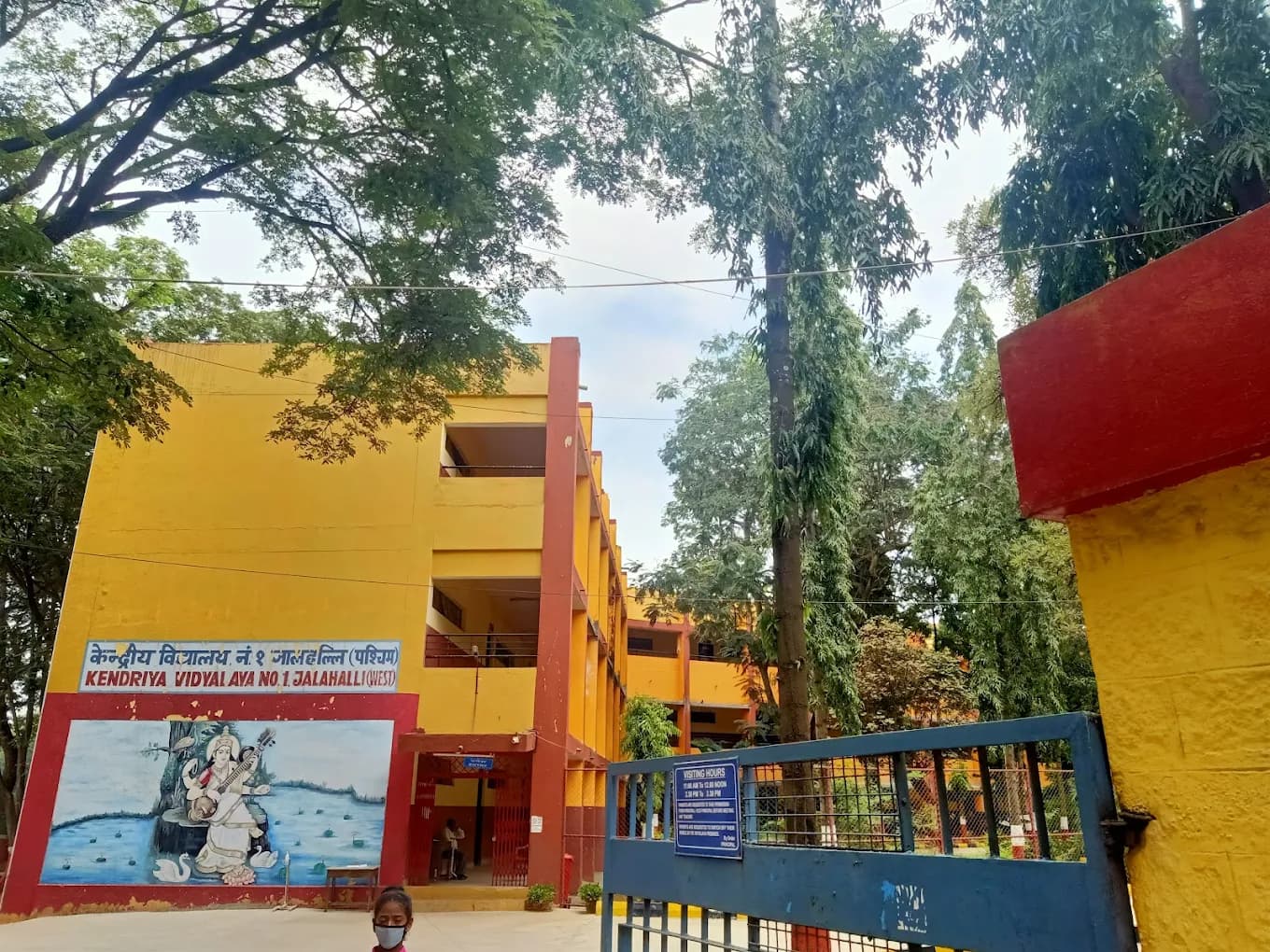 View All