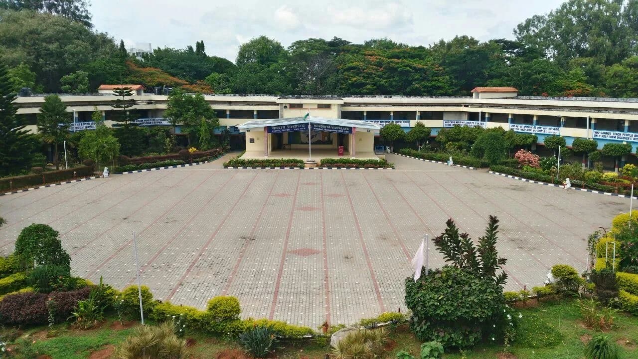 View All