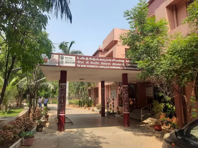 View All