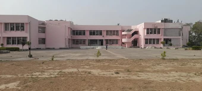 View All