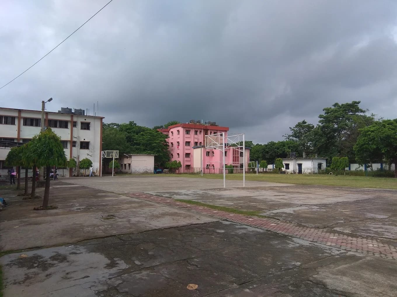 View All