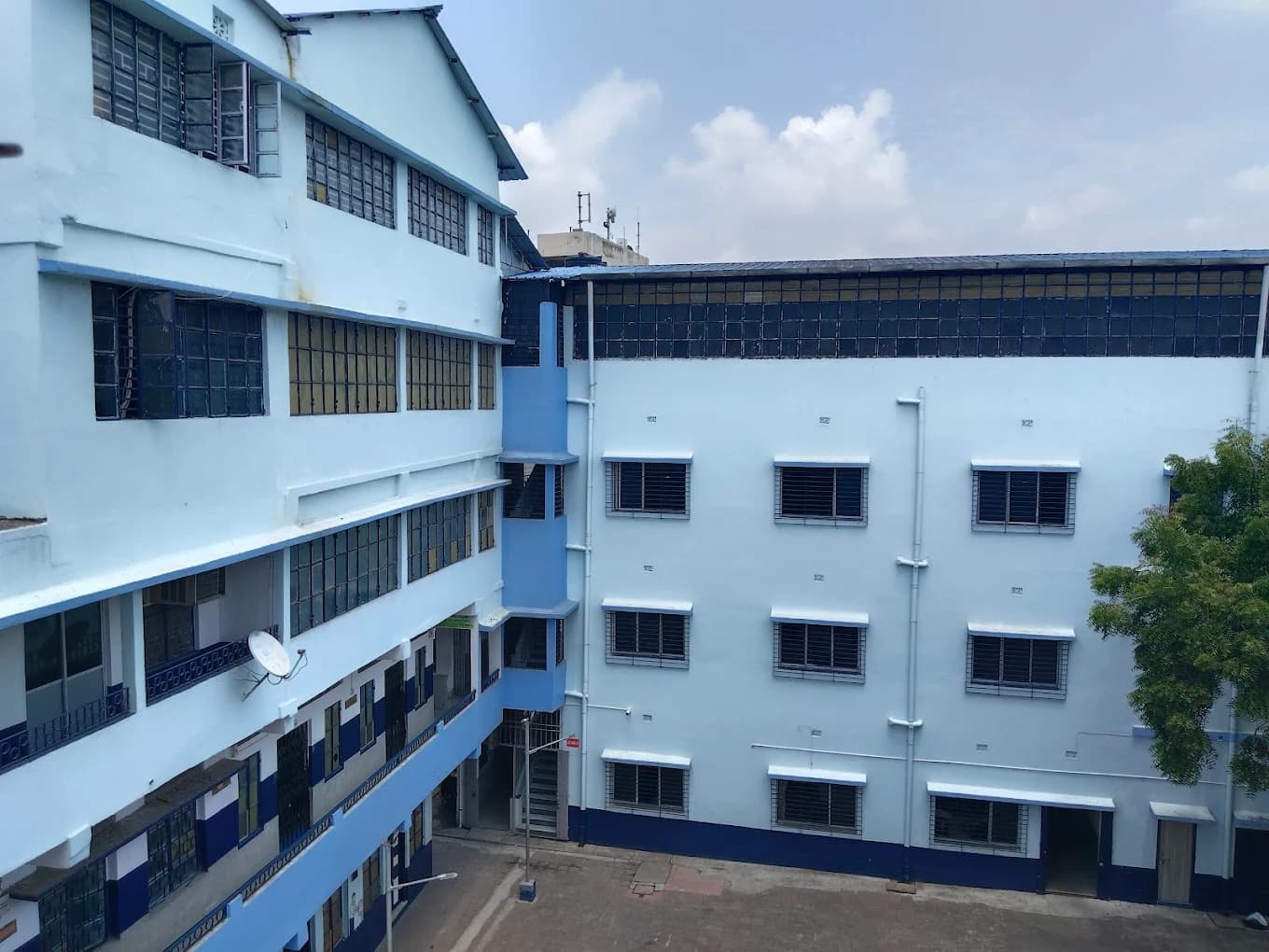View All