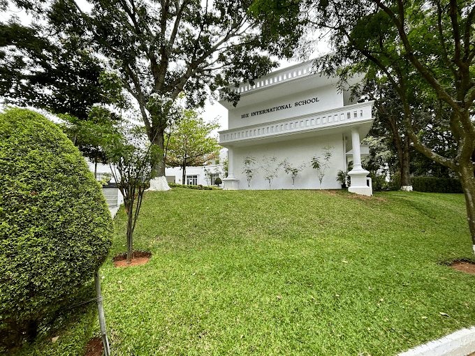 View All