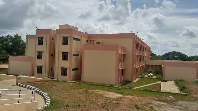 View All