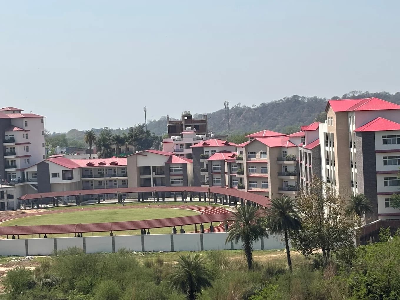 View All