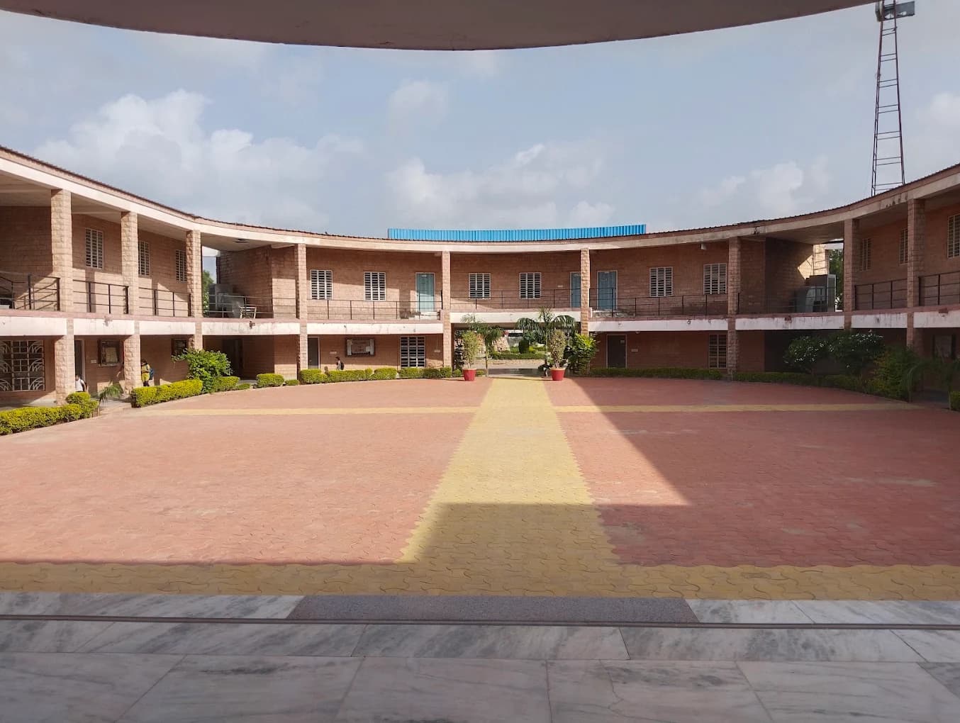 View All