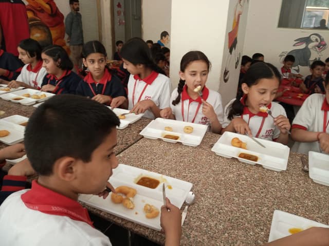 Ivy International School Gallery