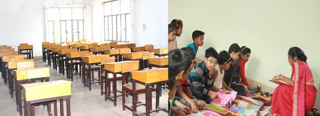 Camellia Public School Gallery