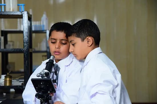 Alpenstock World School Gallery