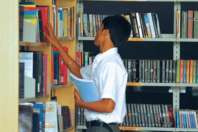 Taurian World School Gallery