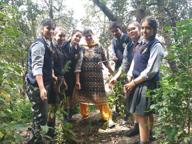 Laureate Public School Gallery