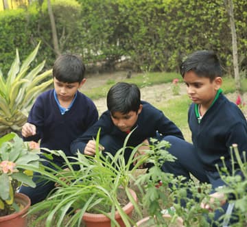 Rishikul Vidyapeeth School Gallery