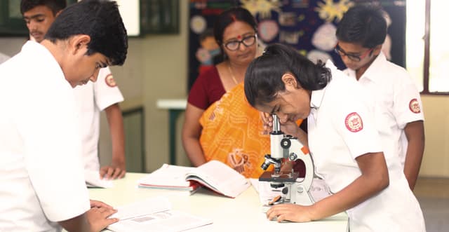 The Sagar School Gallery