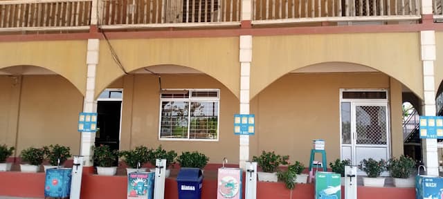 Maple Tree School Gallery 0