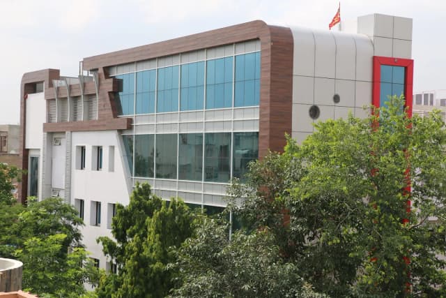 Daisy Dales International Gallery 0